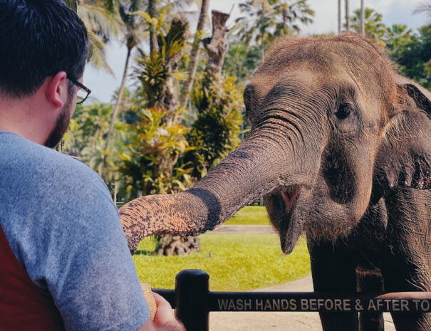 Photo by Megan Soule on Unsplash