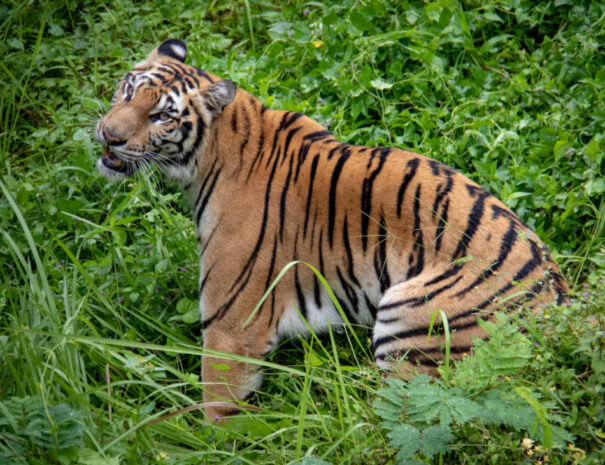 Photo by Nick Fewings on Unsplash