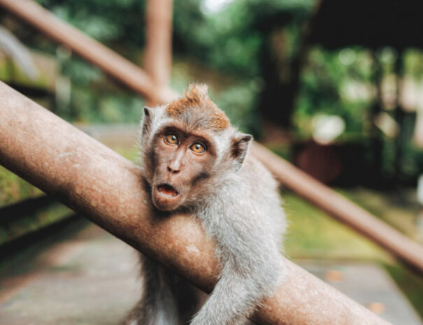 Photo by Jared Rice on Unsplash