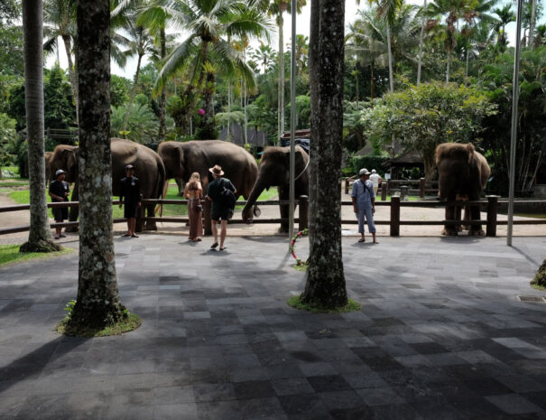 Photo by David Gor on Unsplash