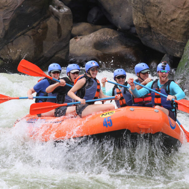 Photo by Jackalope West on Unsplash