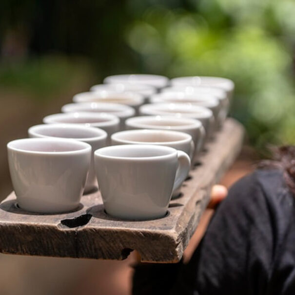 balinese-girl-waiter-carries-variety-coffee-tea-tourists-tasting-ubud-island-bali-indonesia-closeup_185094-6412