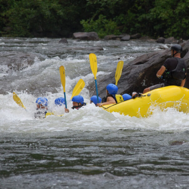 Photo by Cynthia Andres on Unsplash