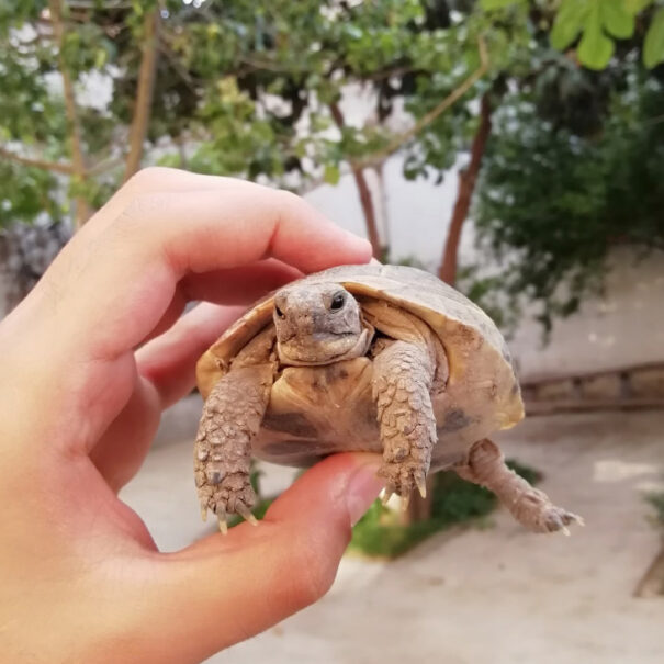 Photo by Brusk Dede on Unsplash