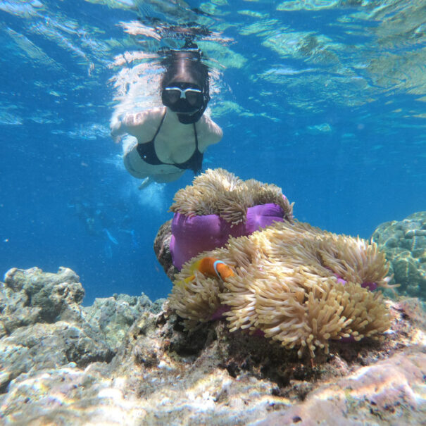 Photo by Maja Novak on Unsplash