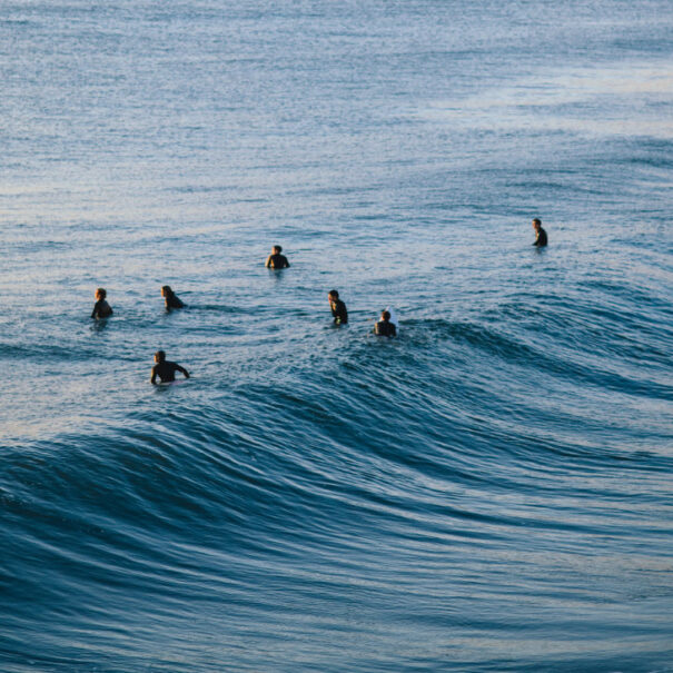 Photo by Lisha Riabinina on Unsplash